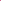 Aquarell Lukas 1862: Genuine Rose