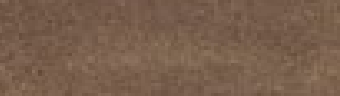 Acuarelas Rembrandt: Sepia