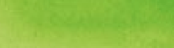 Acuarelas Rembrandt: Verde Amarillo Permanente