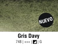 Acuarelas Van Gogh: 748 Gris Davy